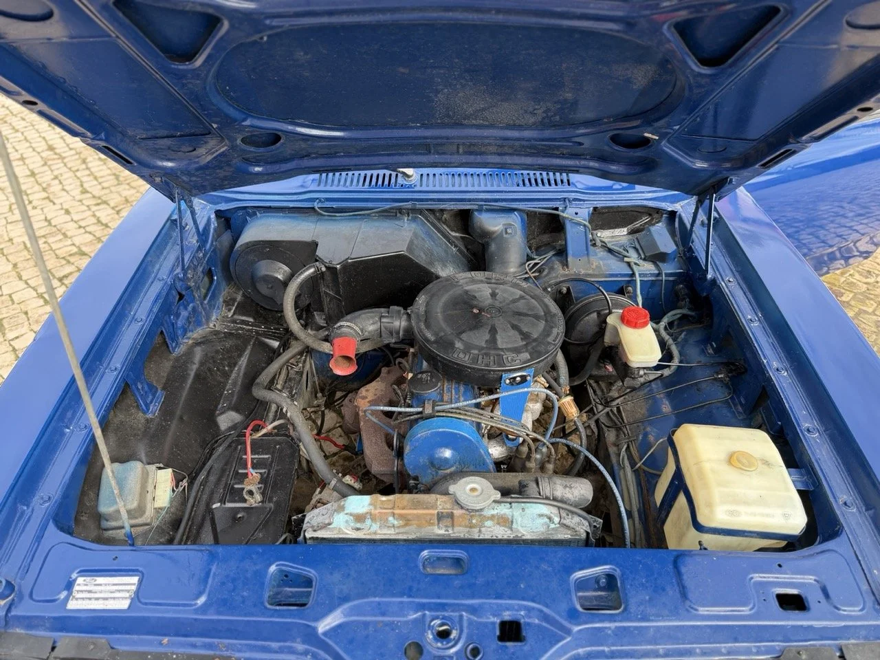 IMG_1808 – grande.jpeg