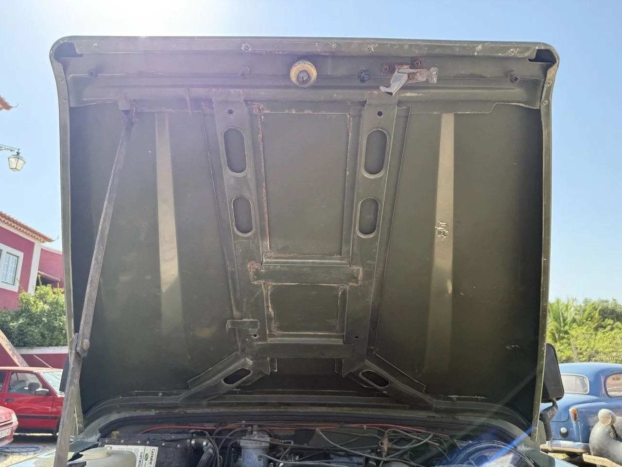 IMG_1073 – grande.jpeg