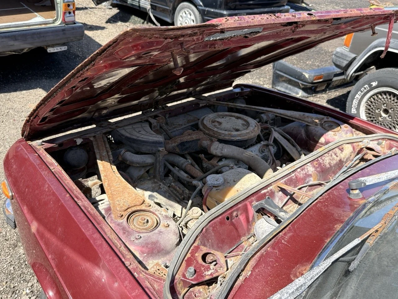 IMG_0919 – grande.jpeg