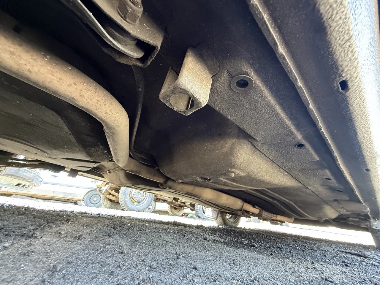 IMG_1959 – grande.jpeg