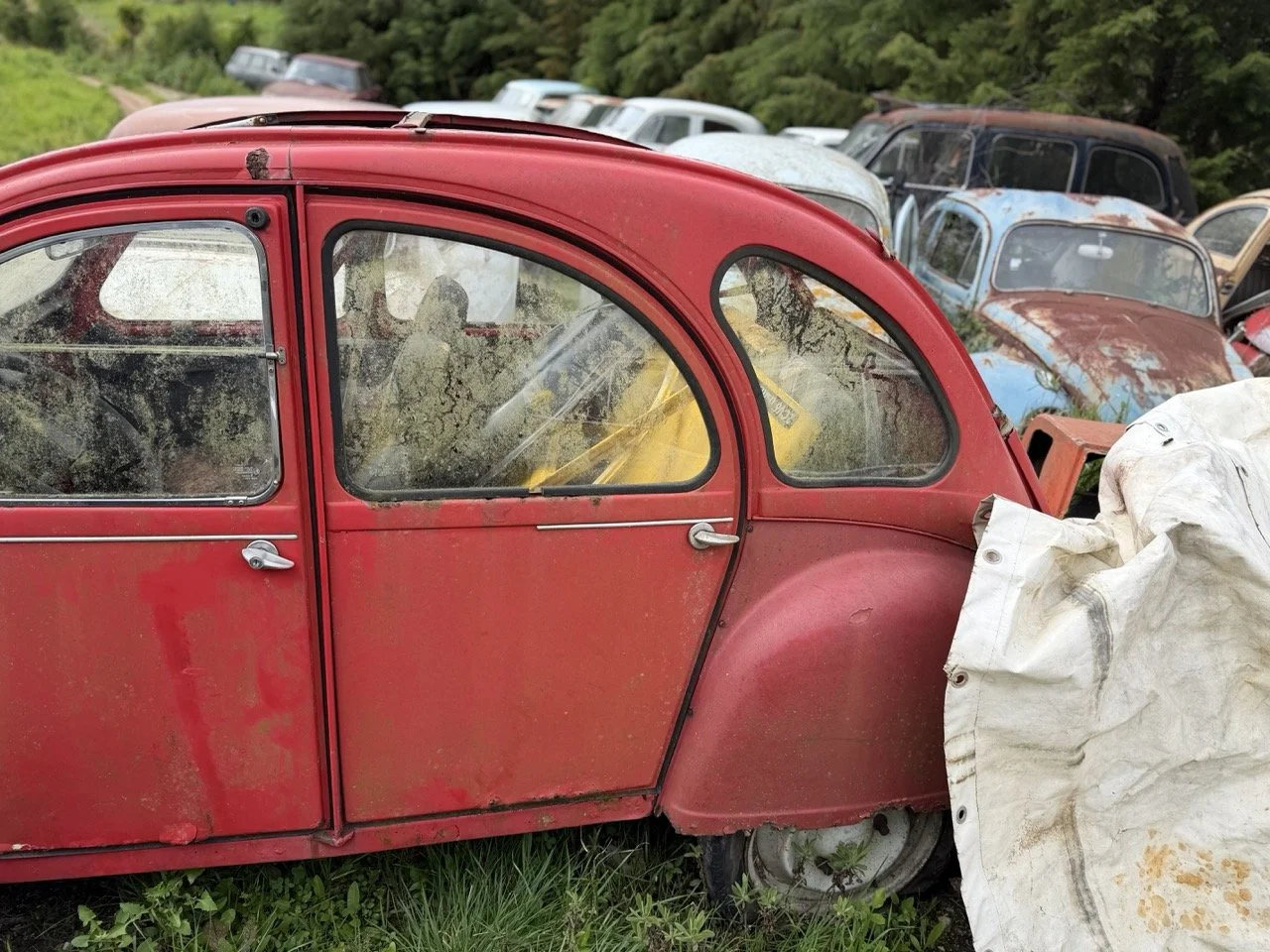 IMG_3847 – grande.jpeg