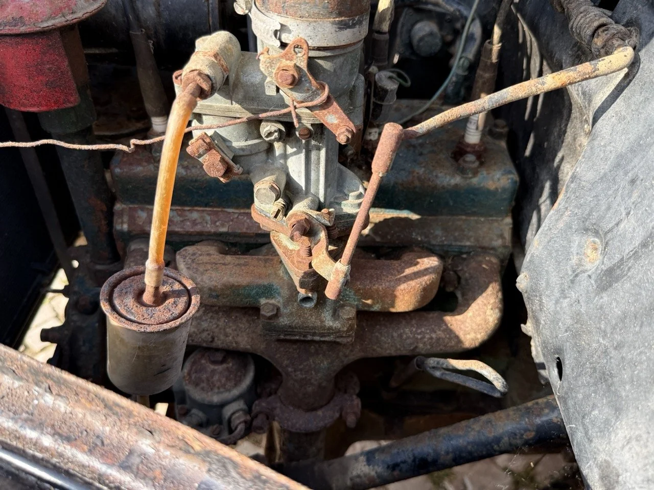 IMG_3708 – grande.jpeg