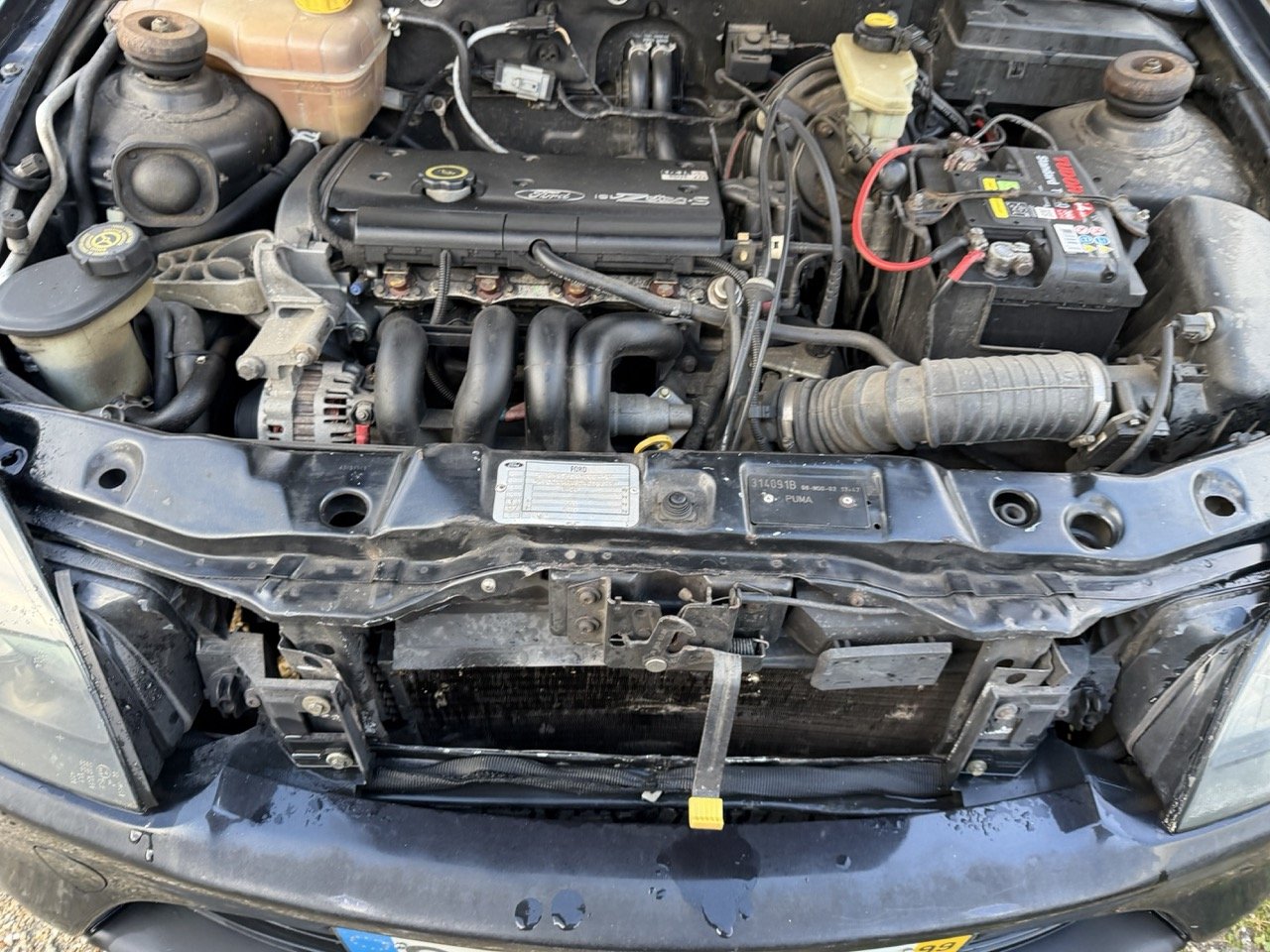 IMG_5310 – grande.jpeg