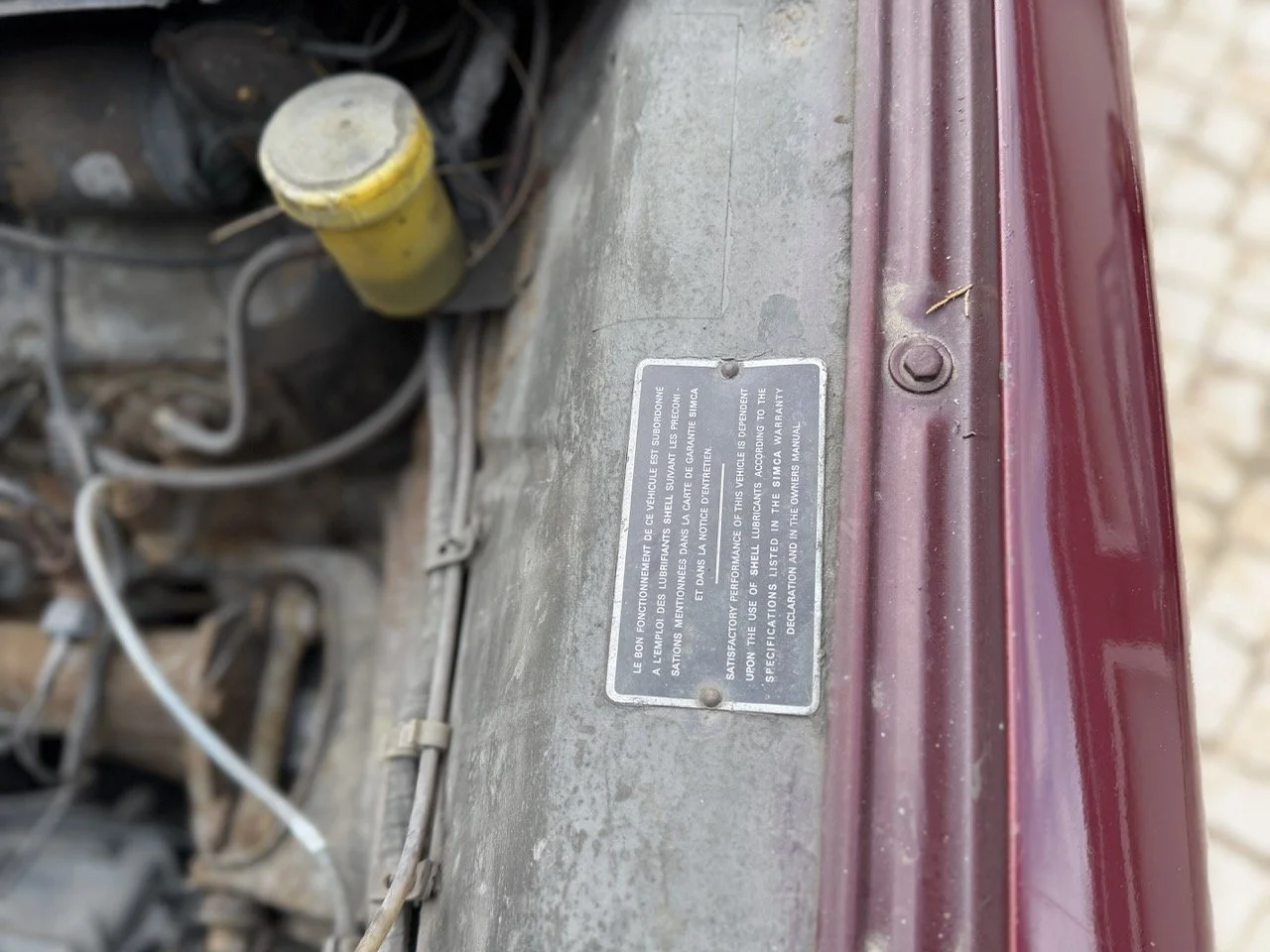 IMG_4909 – grande.jpeg