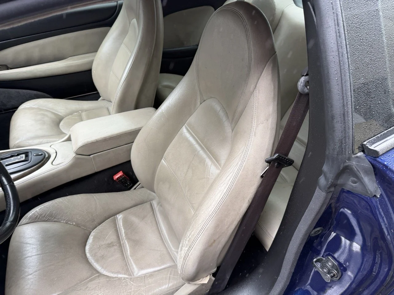 IMG_3617 – grande.jpeg