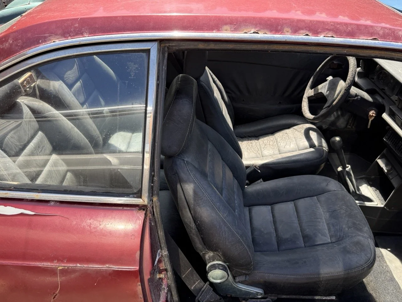 IMG_0941 – grande.jpeg