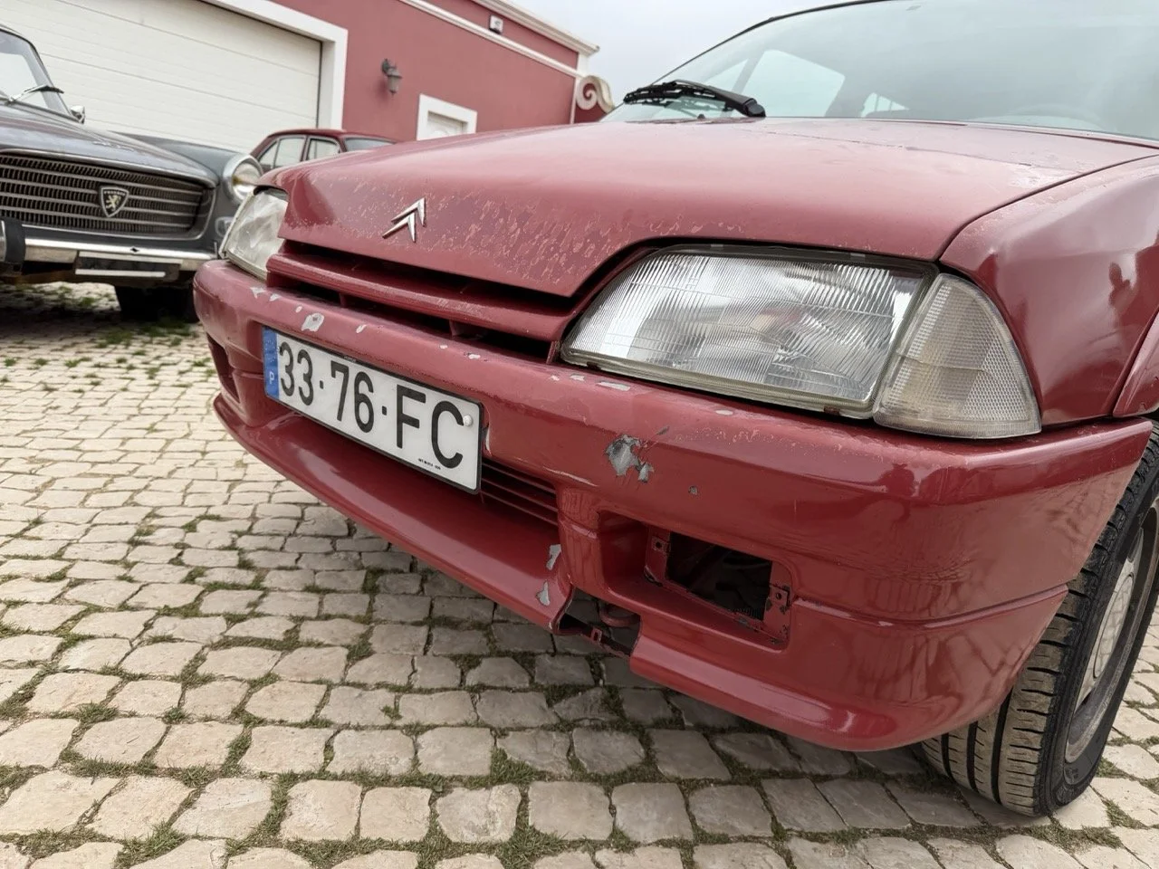 IMG_3638 – grande.jpeg