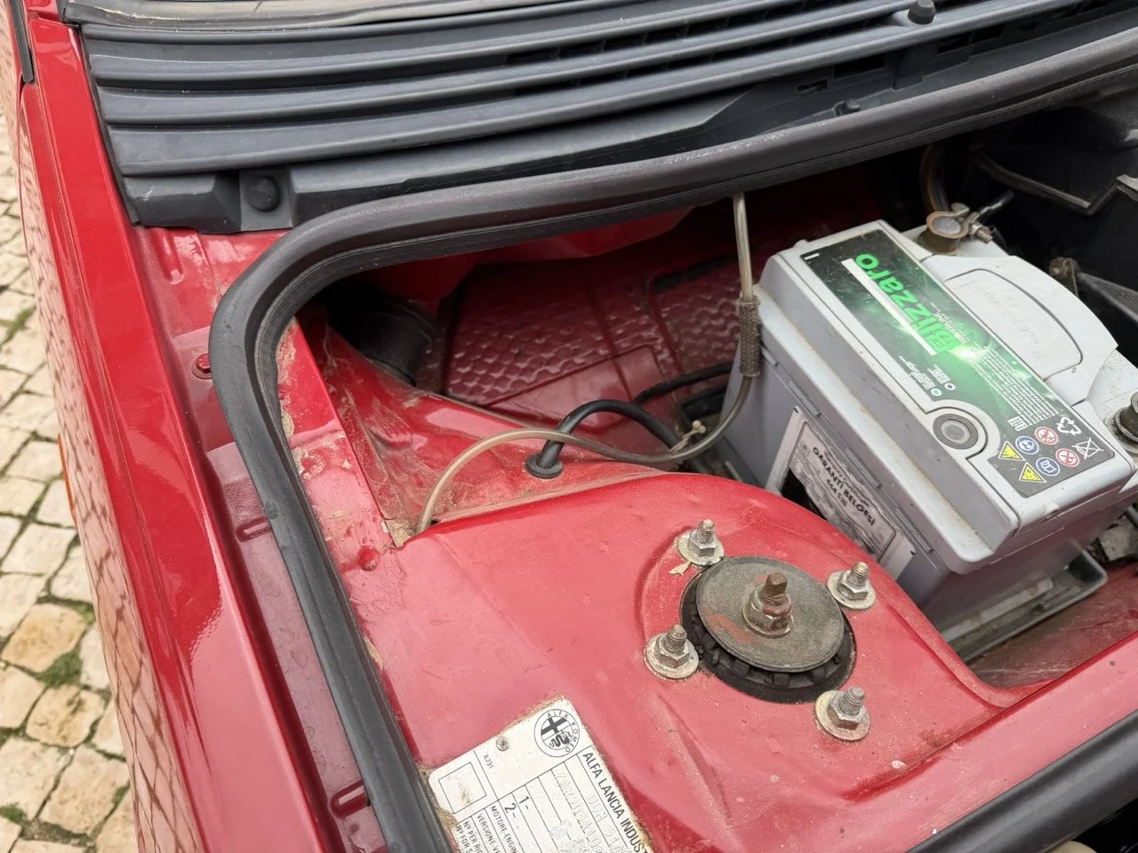 IMG_3488 – grande.jpeg