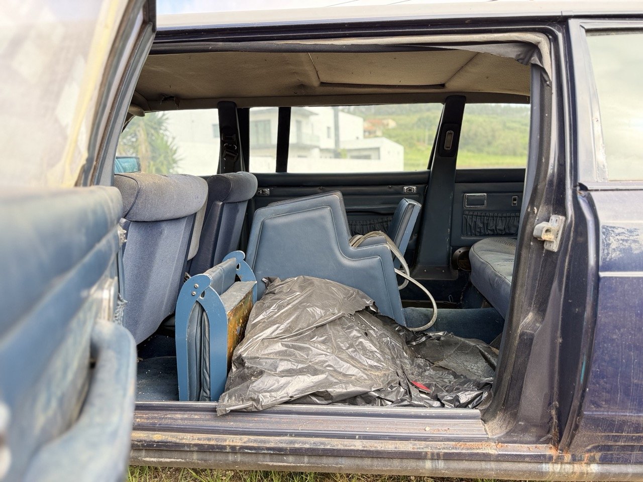 IMG_3363 – grande.jpeg