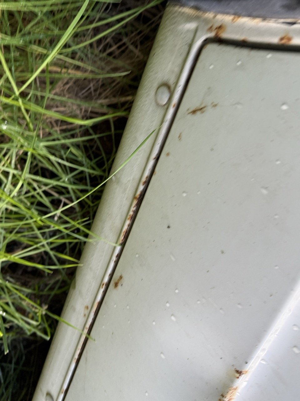 IMG_5190 – grande.jpeg