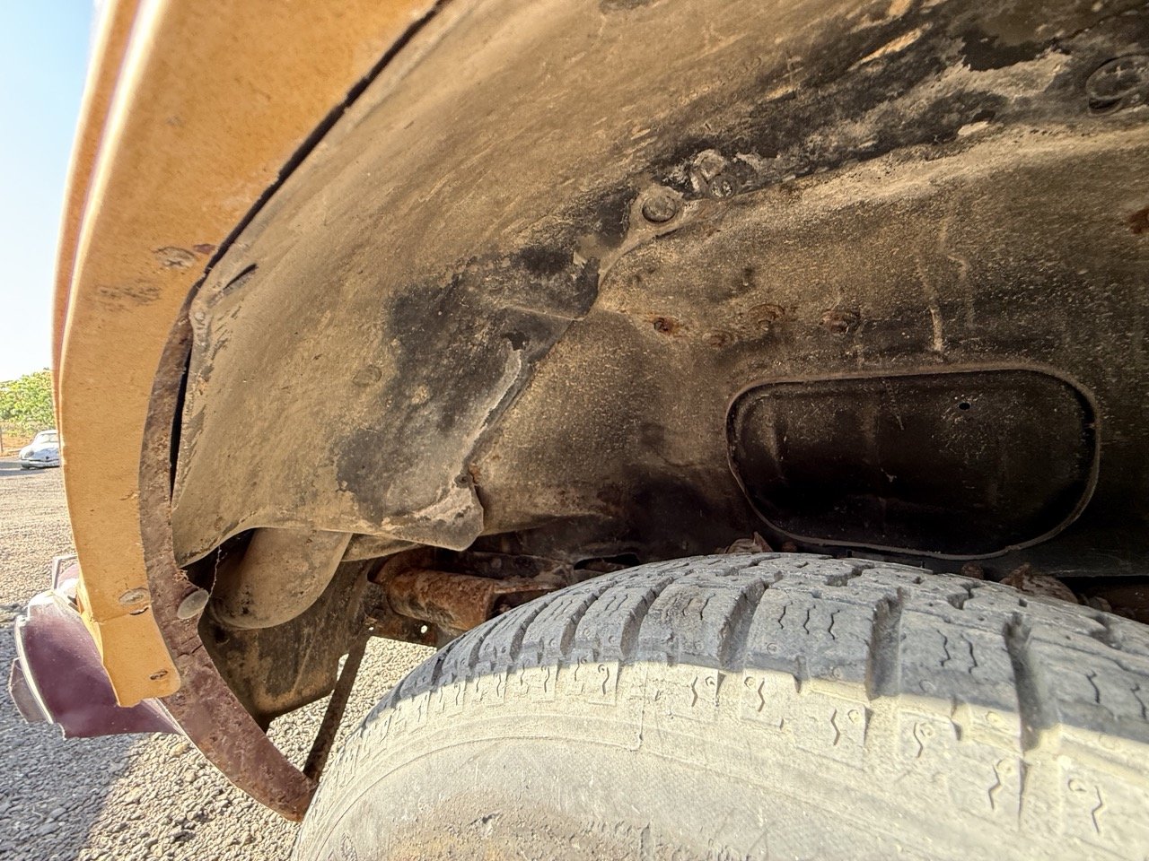 IMG_3064 – grande.jpeg