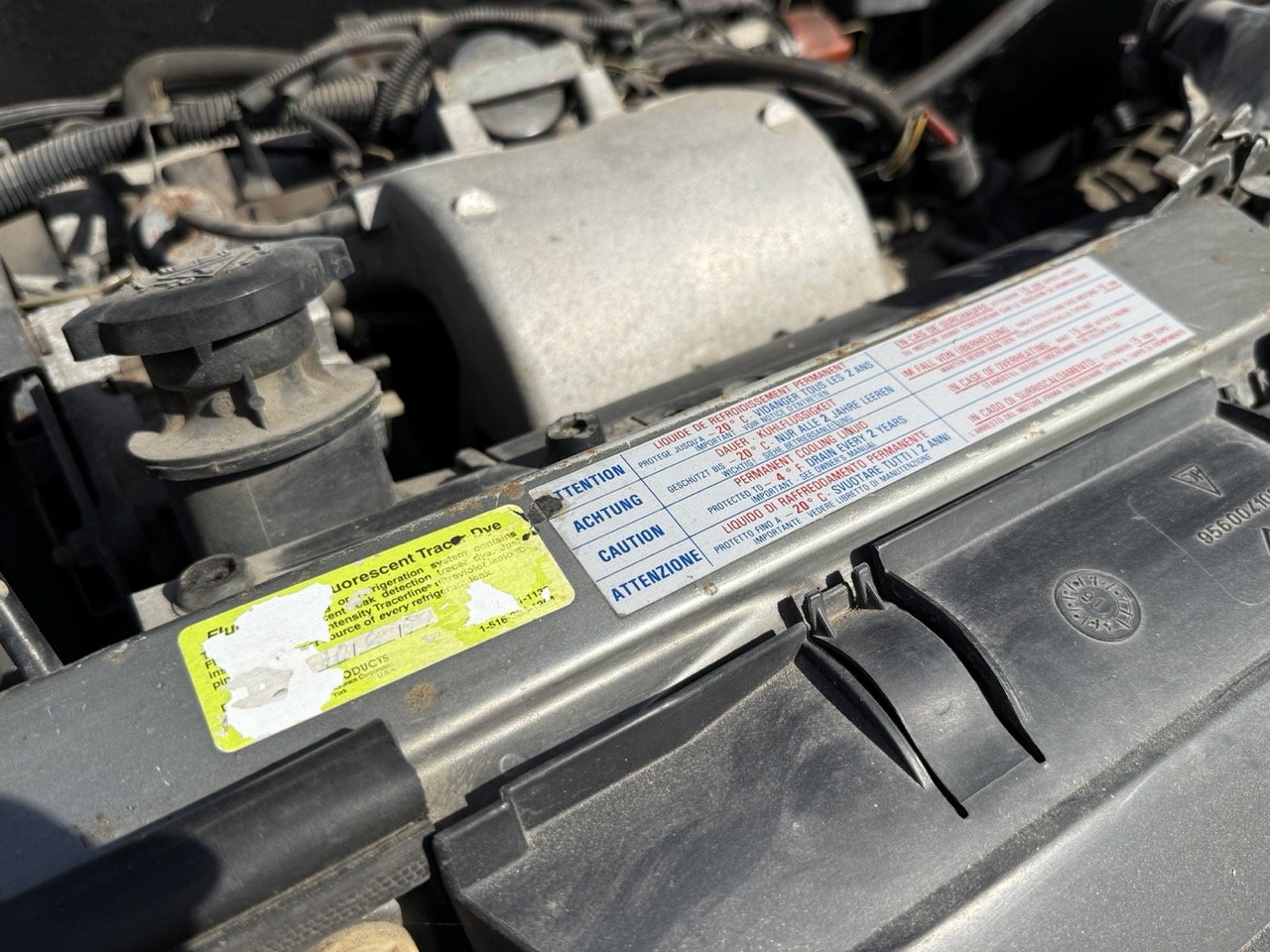 IMG_2557 – grande.jpeg