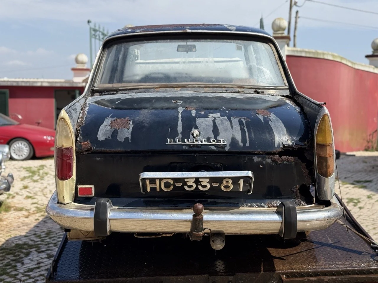 IMG_3457 – grande.jpeg