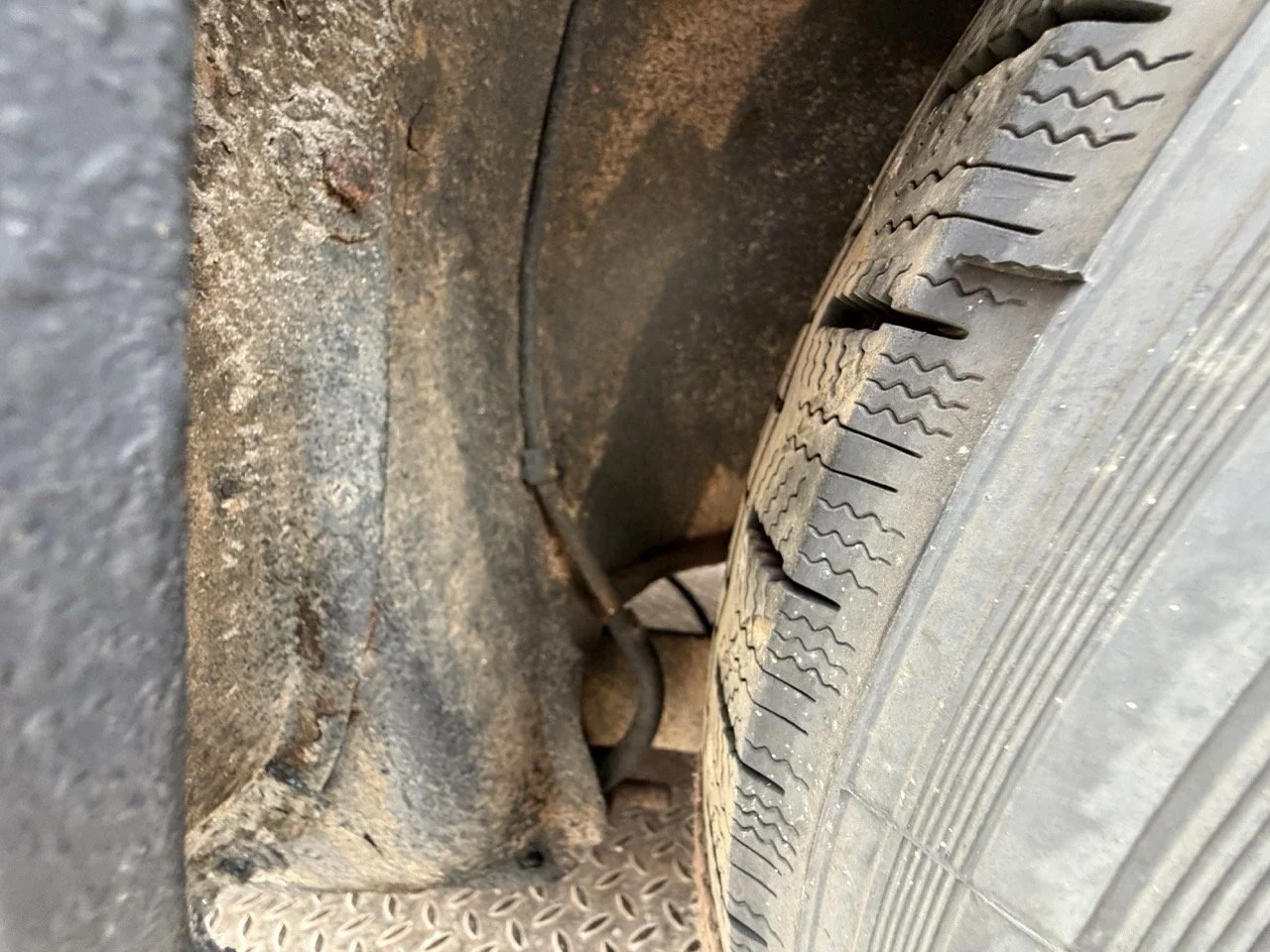 IMG_1909 – grande.jpeg