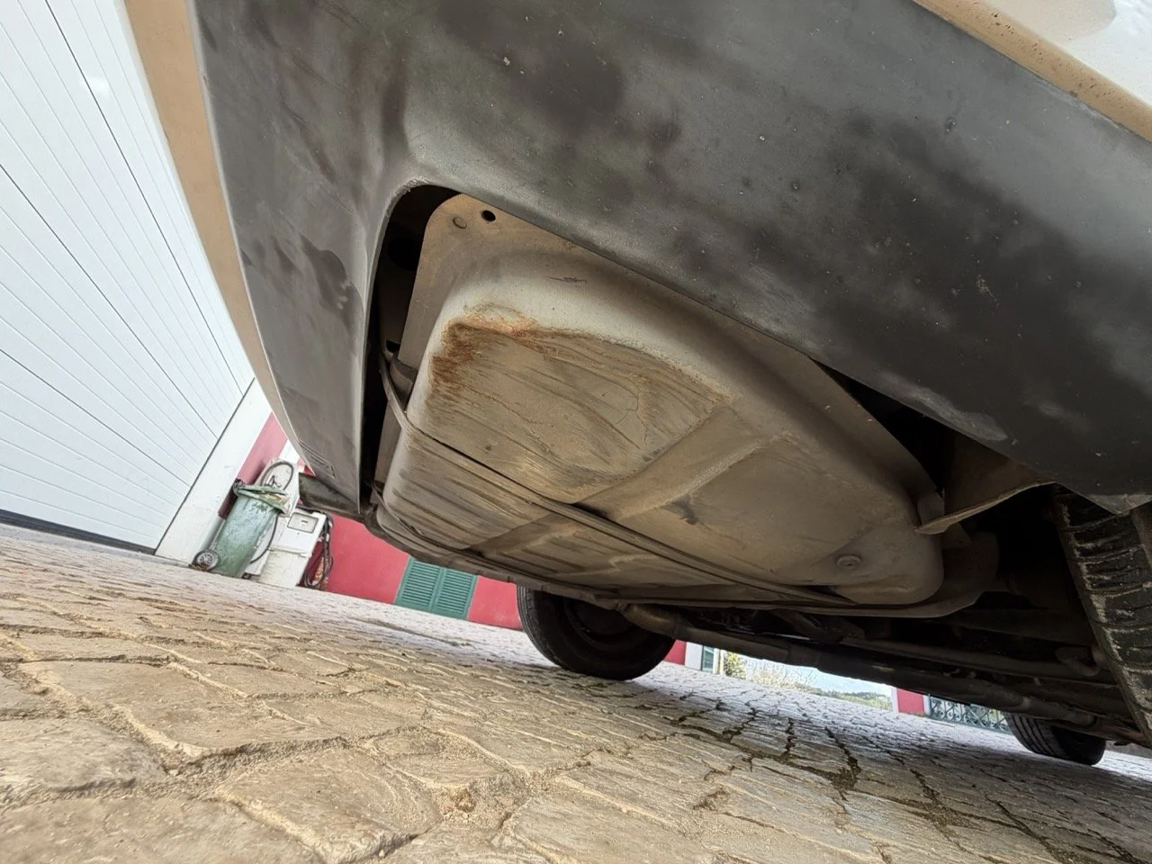 IMG_7019 2 – grande.jpeg