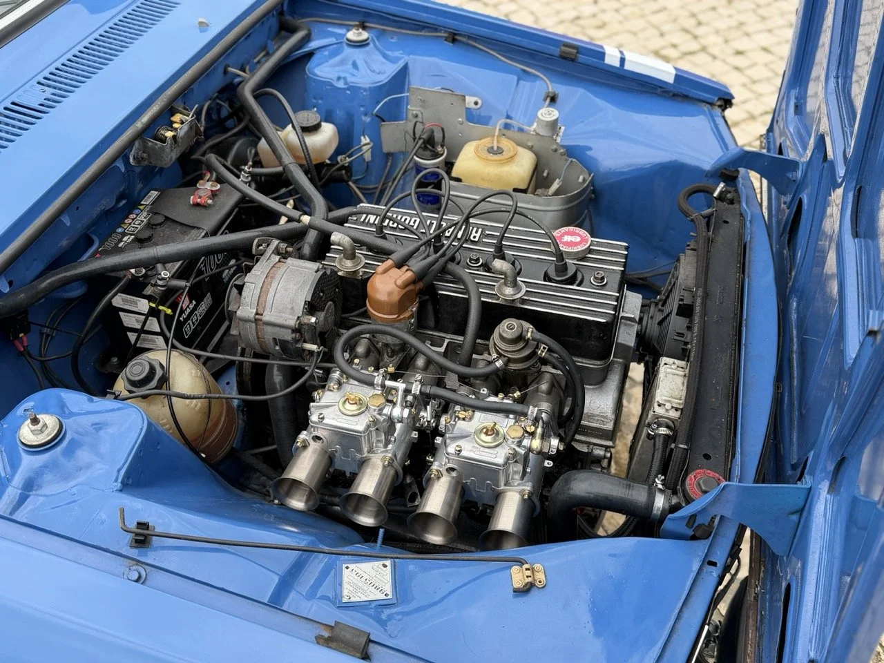 IMG_6014 – grande.jpeg