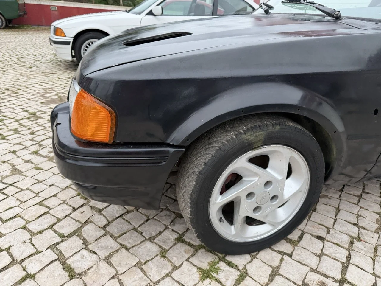 IMG_1298 – grande.jpeg