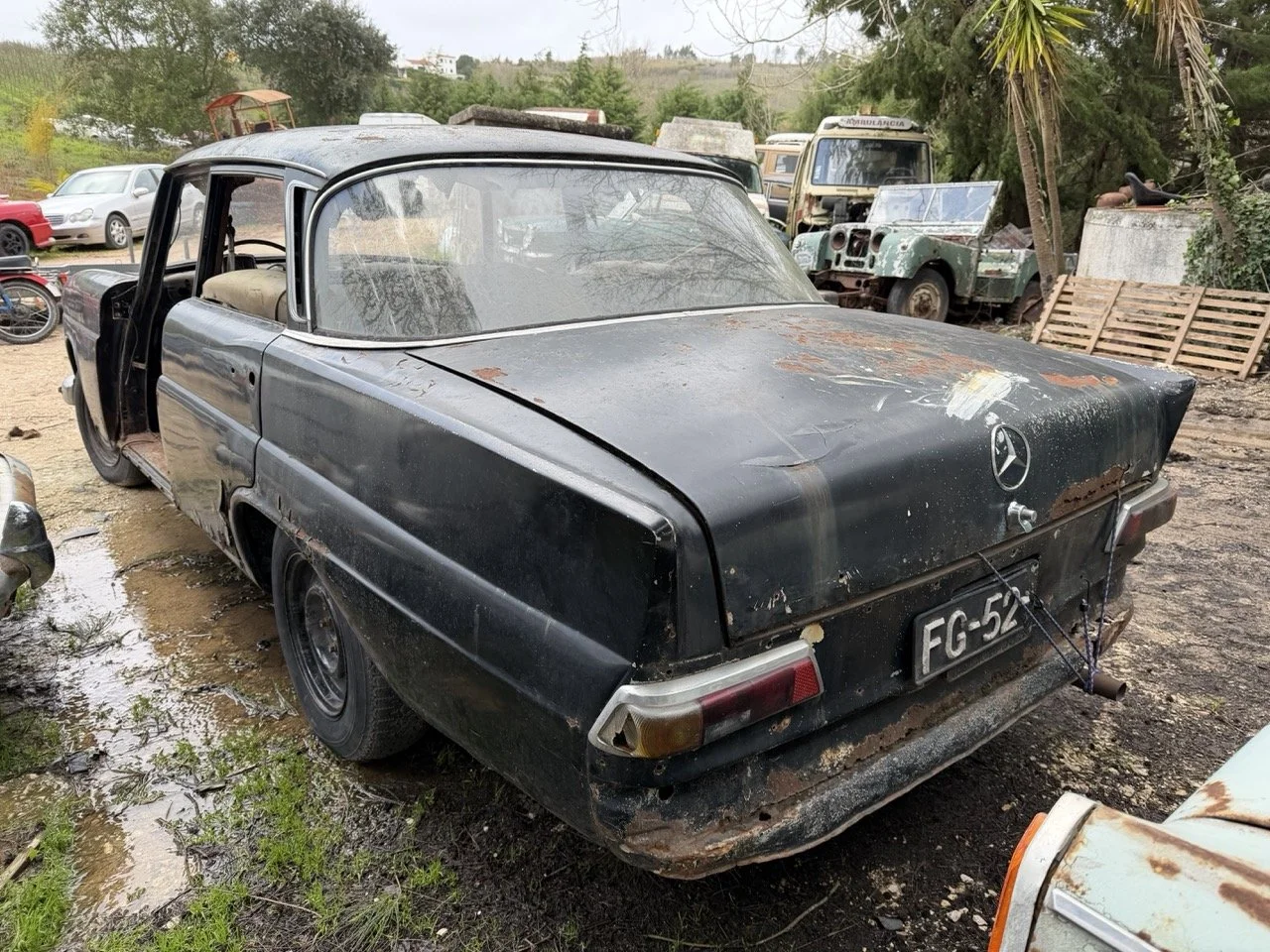 IMG_1929 – grande.jpeg