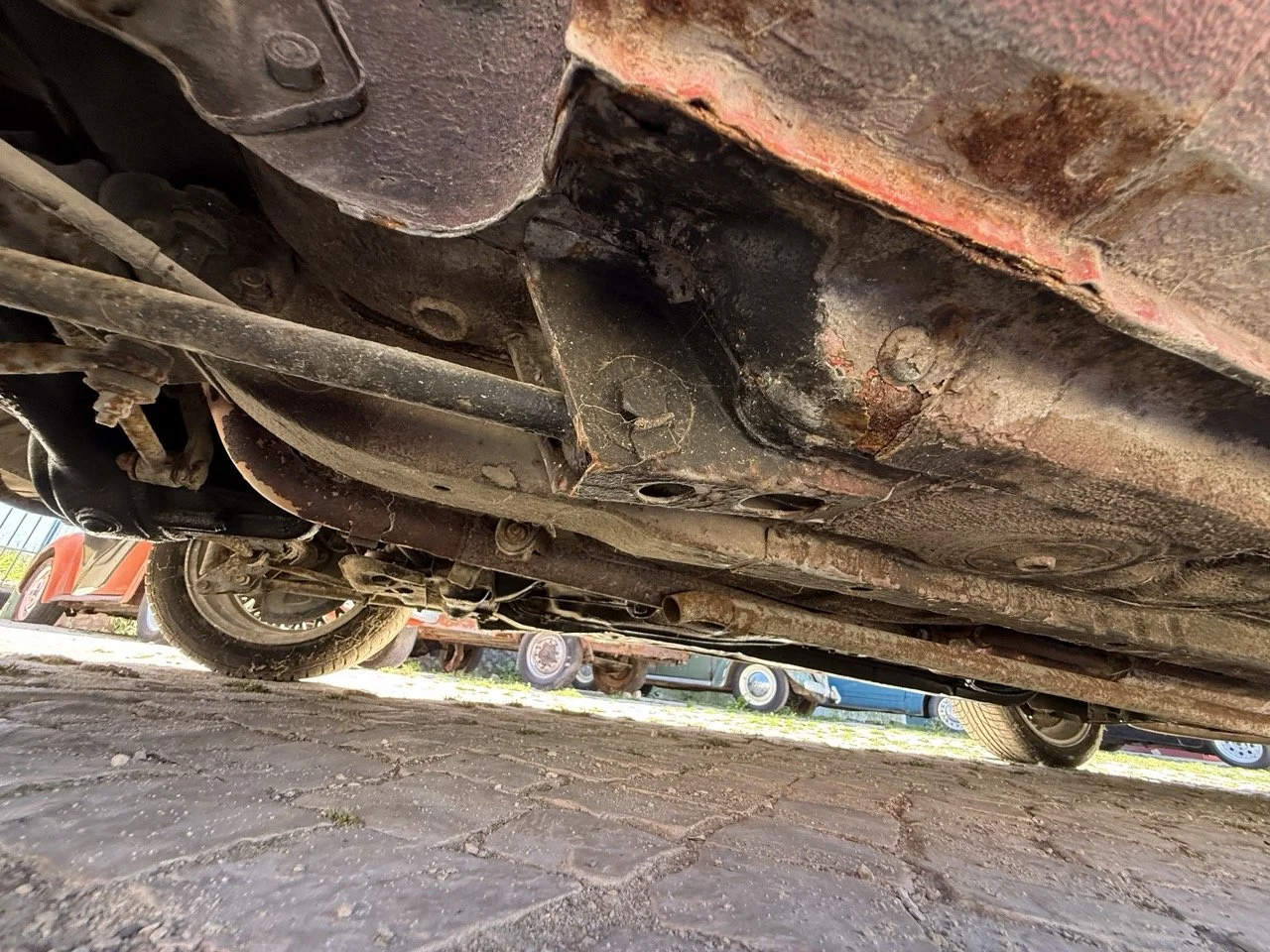 IMG_2107 – grande.jpeg