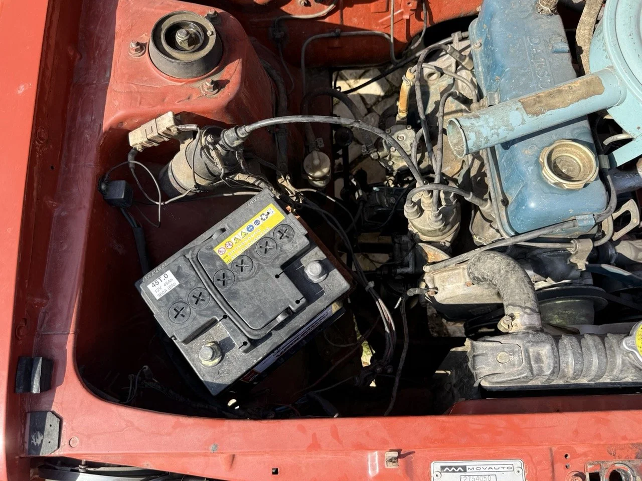 IMG_3618 – grande.jpeg