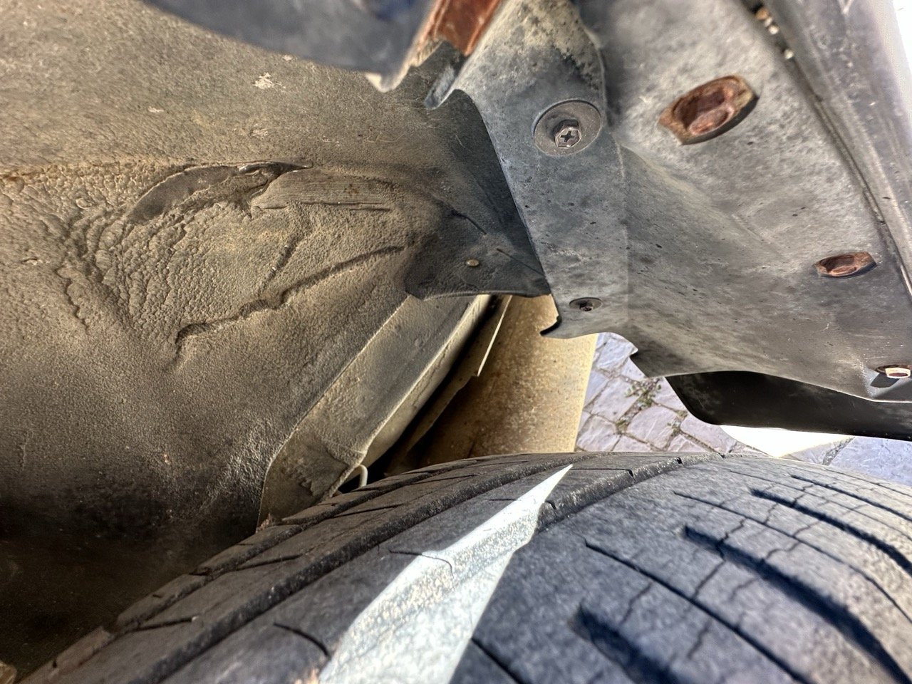 IMG_3124 – grande.jpeg