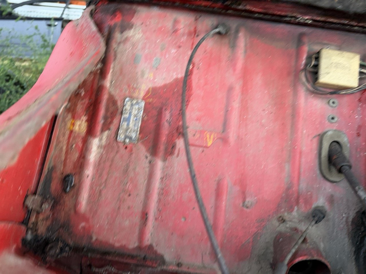 IMG_5528 – grande.jpeg