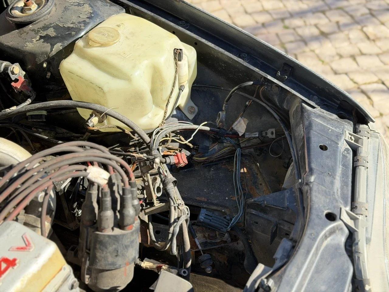 IMG_2752 – grande.jpeg