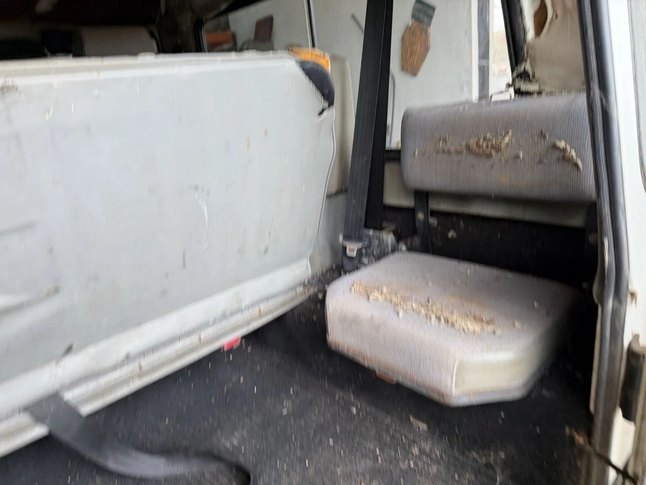 IMG_5193 – grande.jpeg