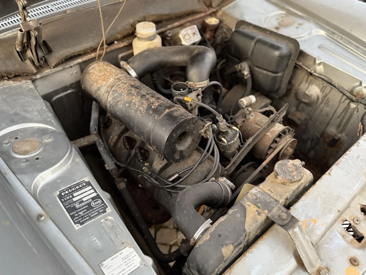 IMG_7507 – grande.jpeg