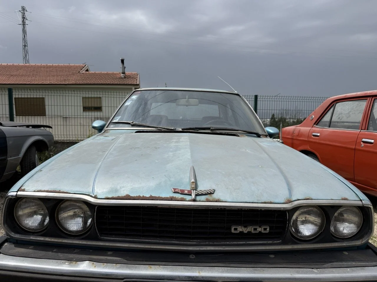 IMG_1521 – grande.jpeg