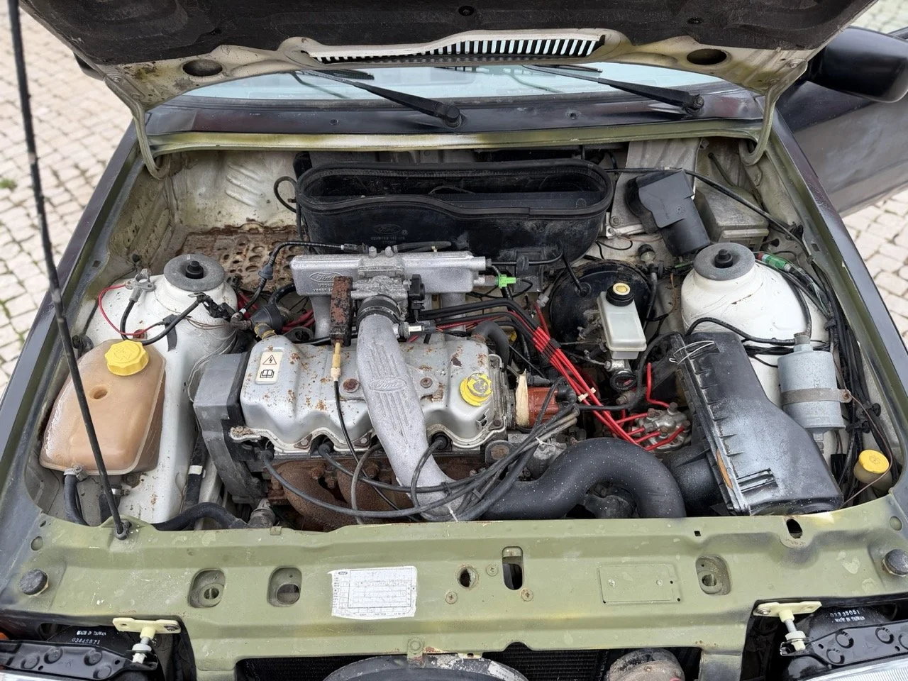 IMG_1342 – grande.jpeg