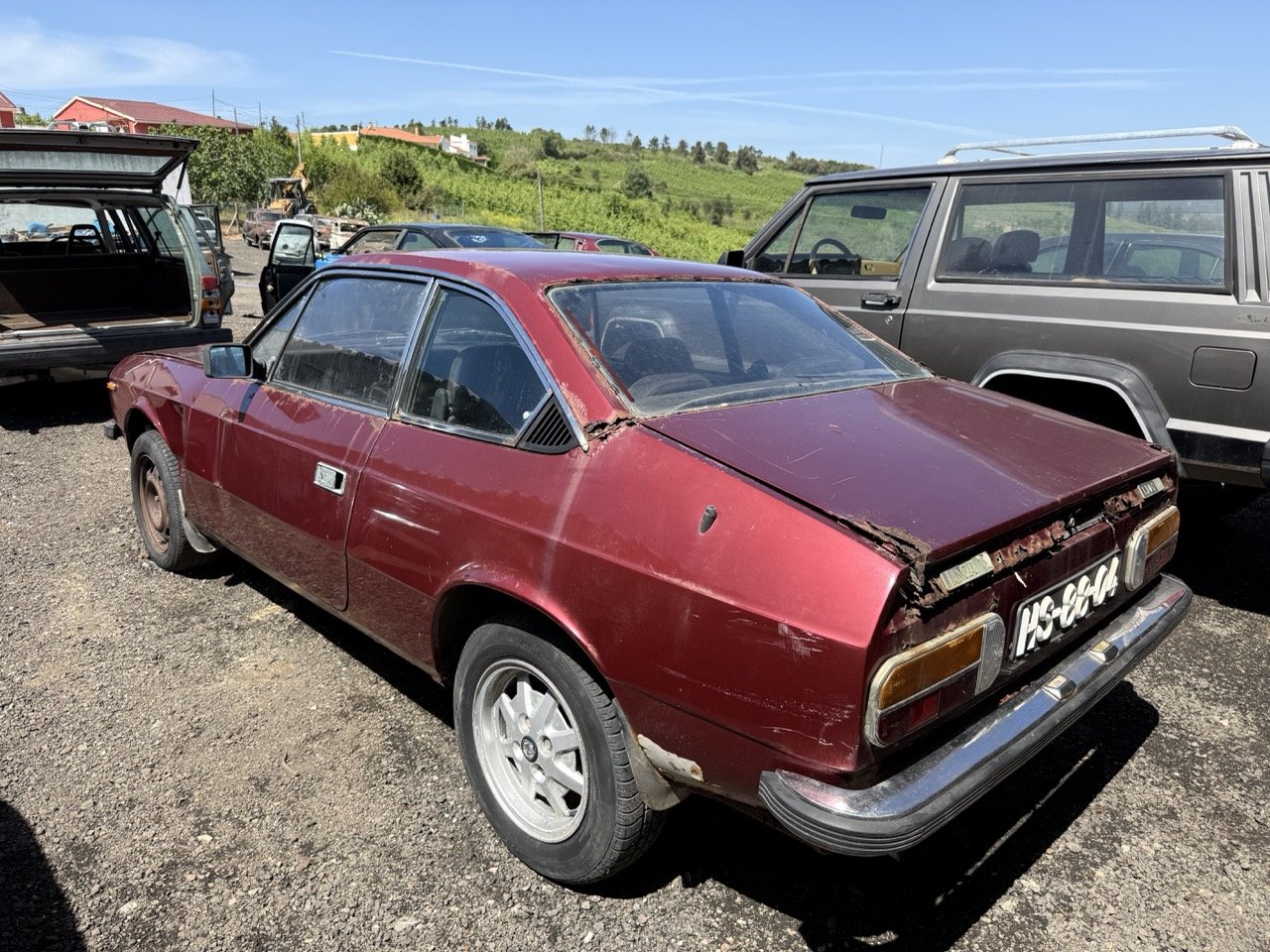 IMG_0913 – grande.jpeg