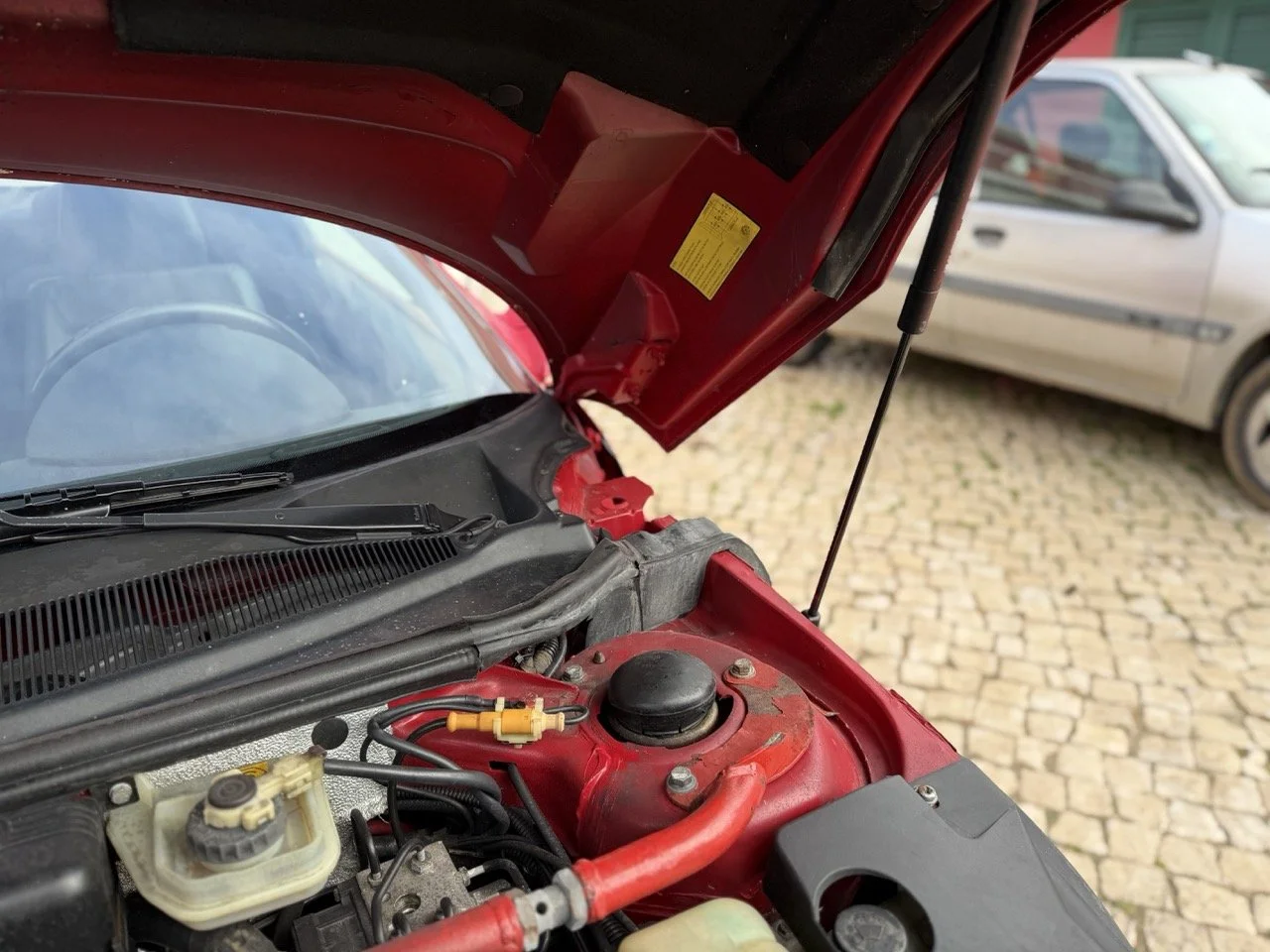 IMG_2265 – grande.jpeg