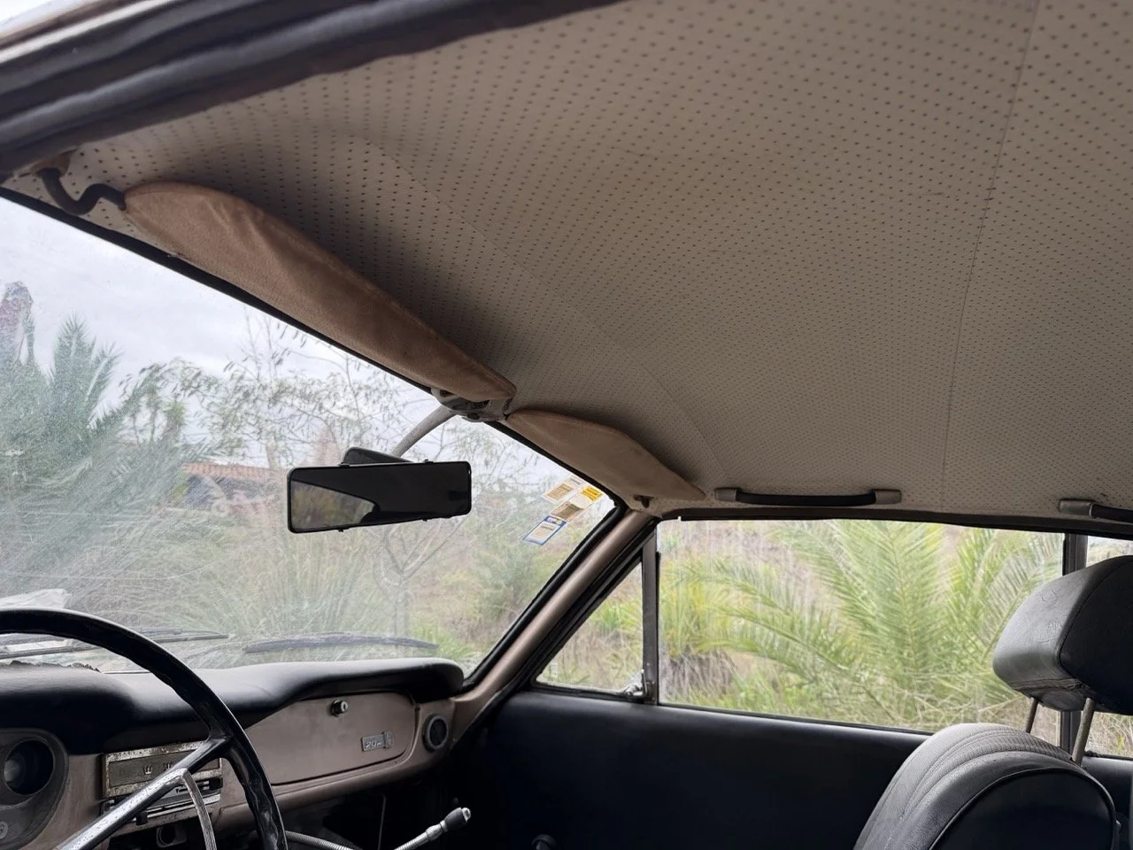 IMG_4915 – grande.jpeg