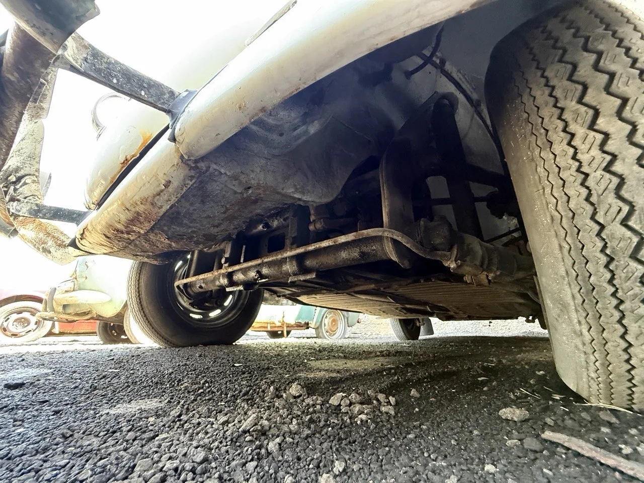 IMG_0733 – grande.jpeg