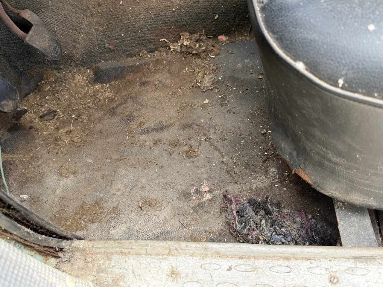 IMG_1387 – grande.jpeg