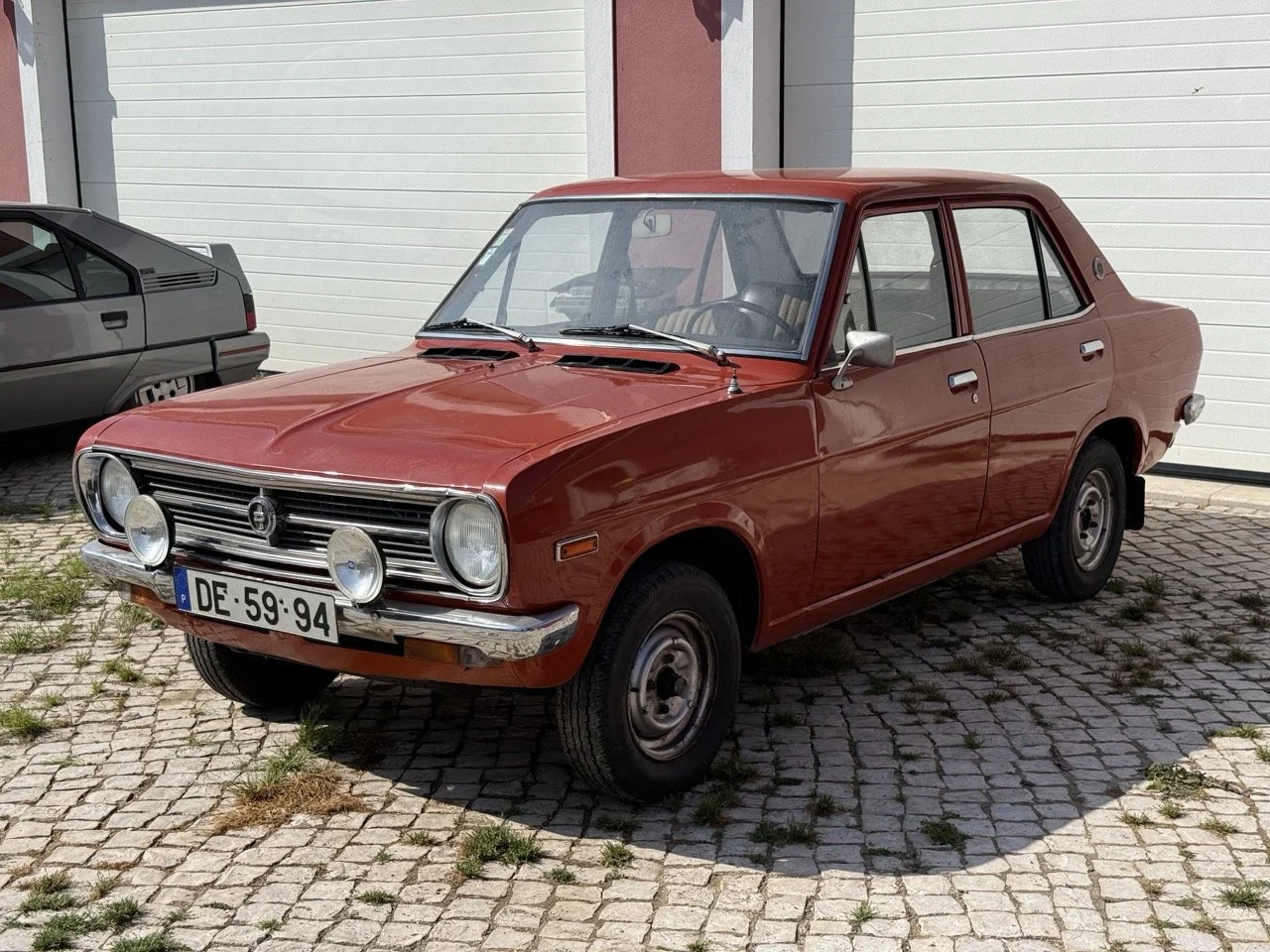 IMG_3591 – grande.jpeg