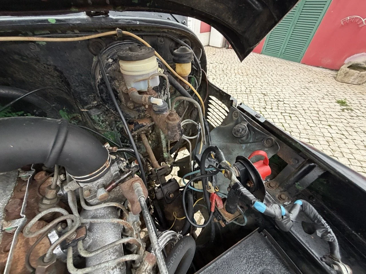 IMG_6479 – grande.jpeg