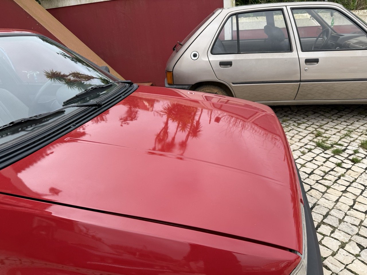 IMG_3501 – grande.jpeg