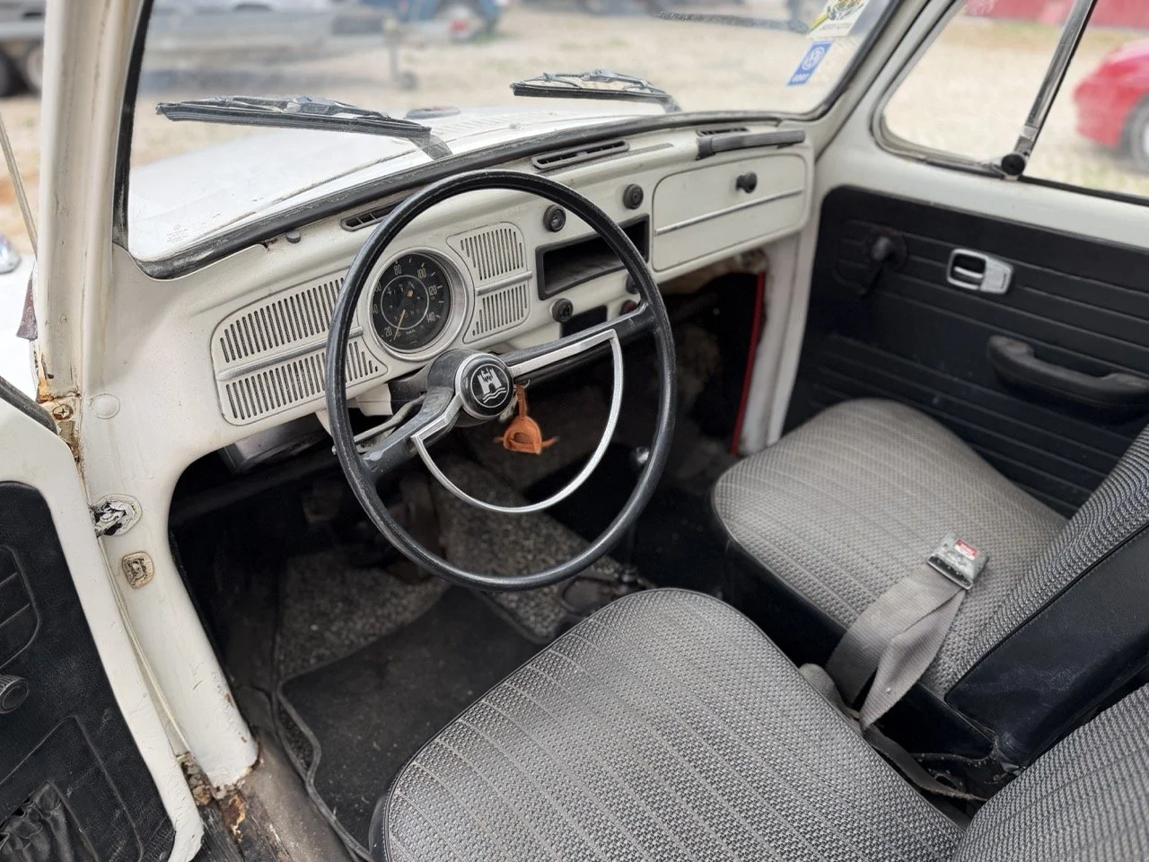 IMG_8640 – grande.jpeg