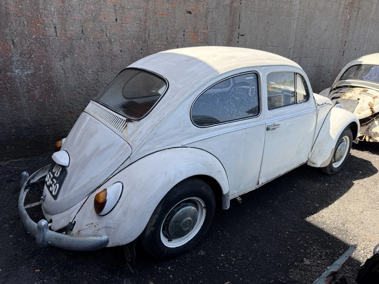 IMG_0671 – grande.jpeg