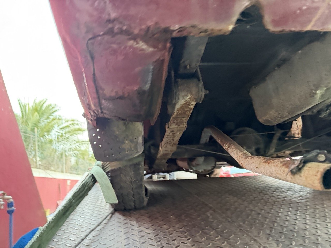 IMG_8994 – grande.jpeg