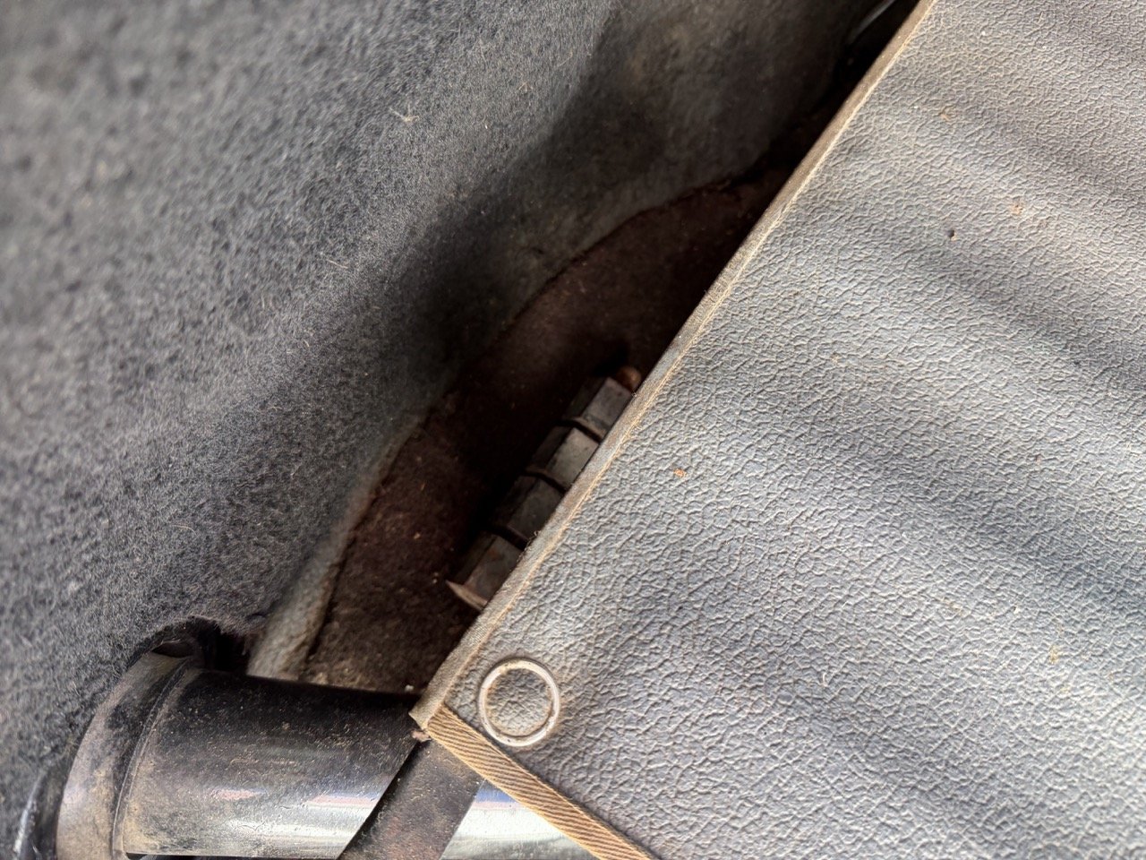 IMG_6707 – grande.jpeg