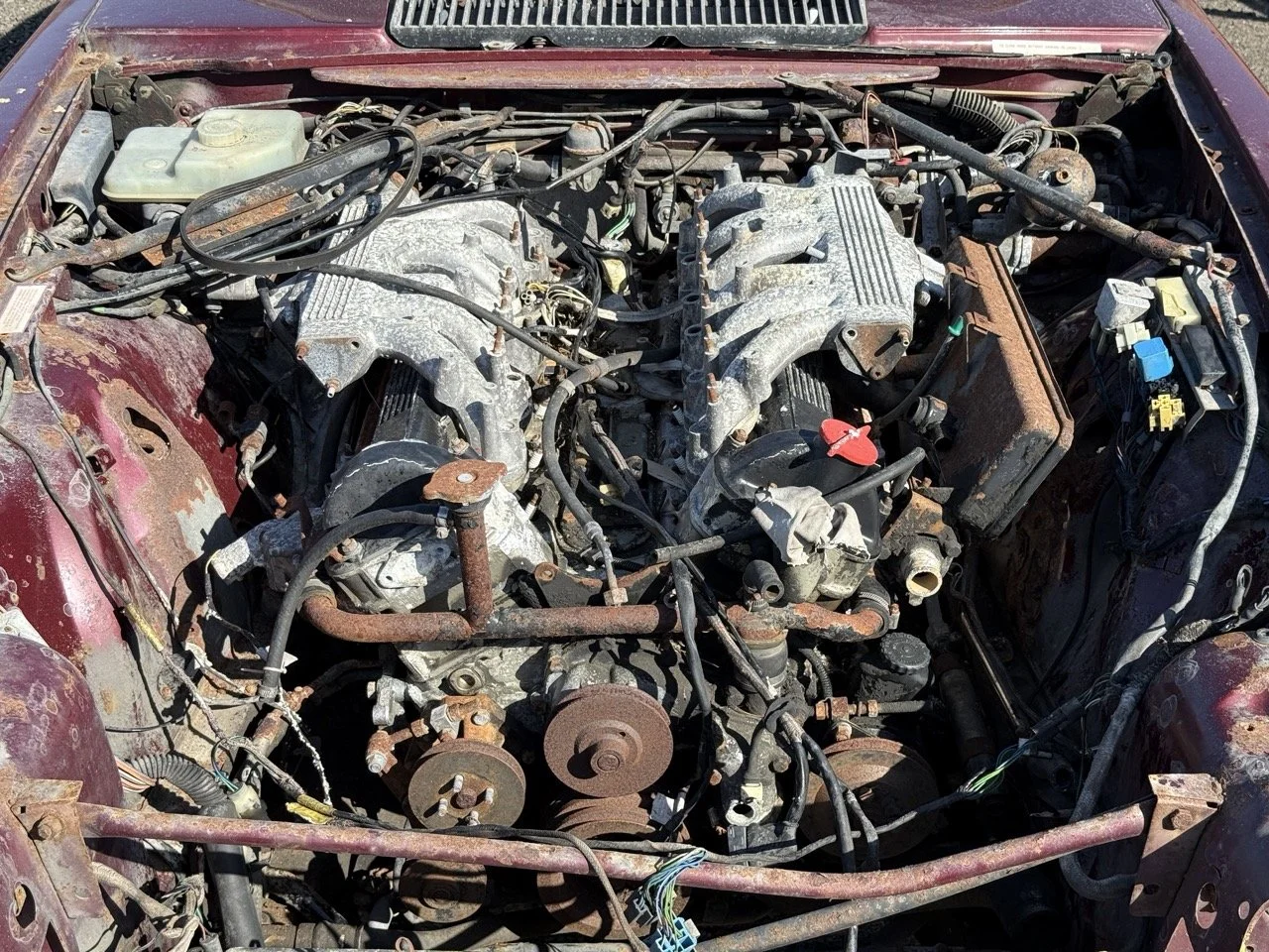 IMG_2972 – grande.jpeg