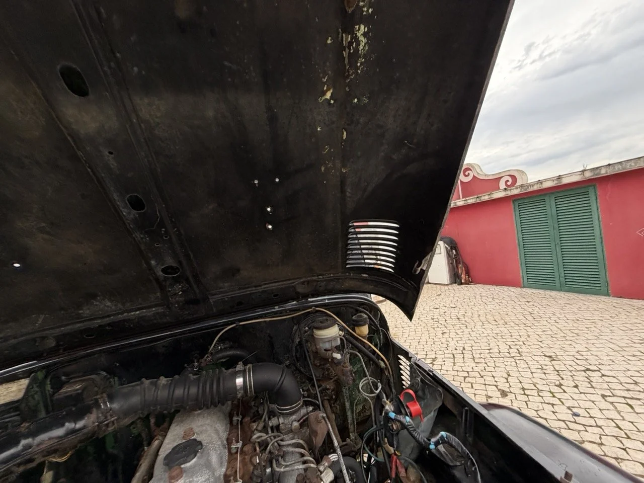 IMG_6486 – grande.jpeg