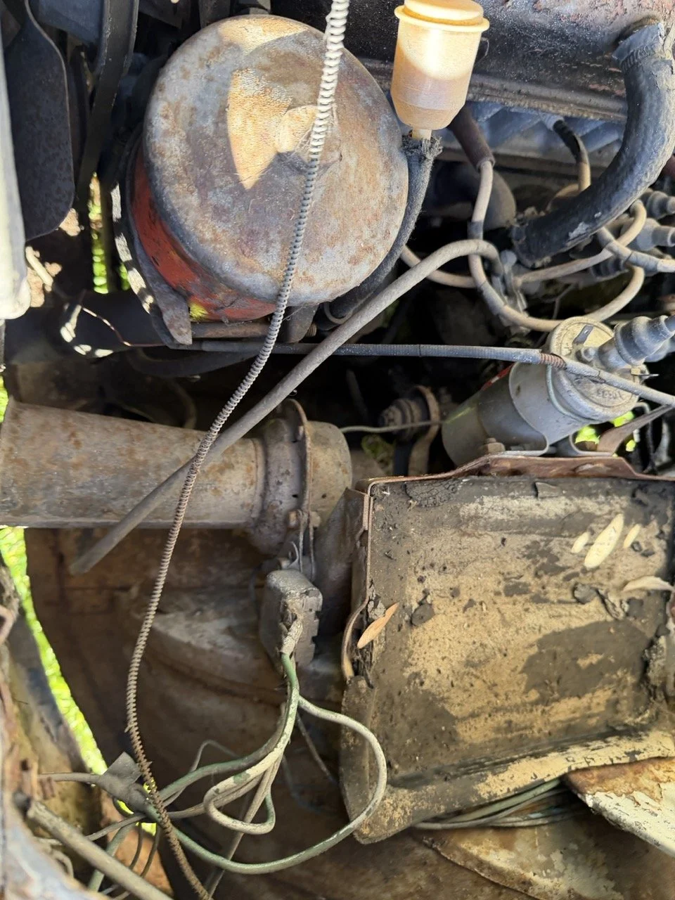 IMG_2542 – grande.jpeg