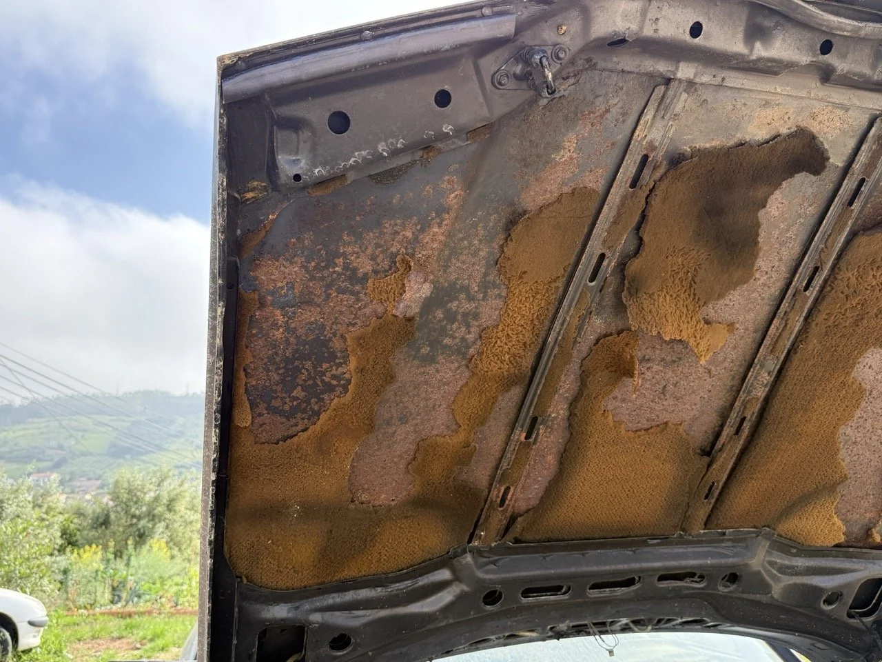 IMG_3413 – grande.jpeg