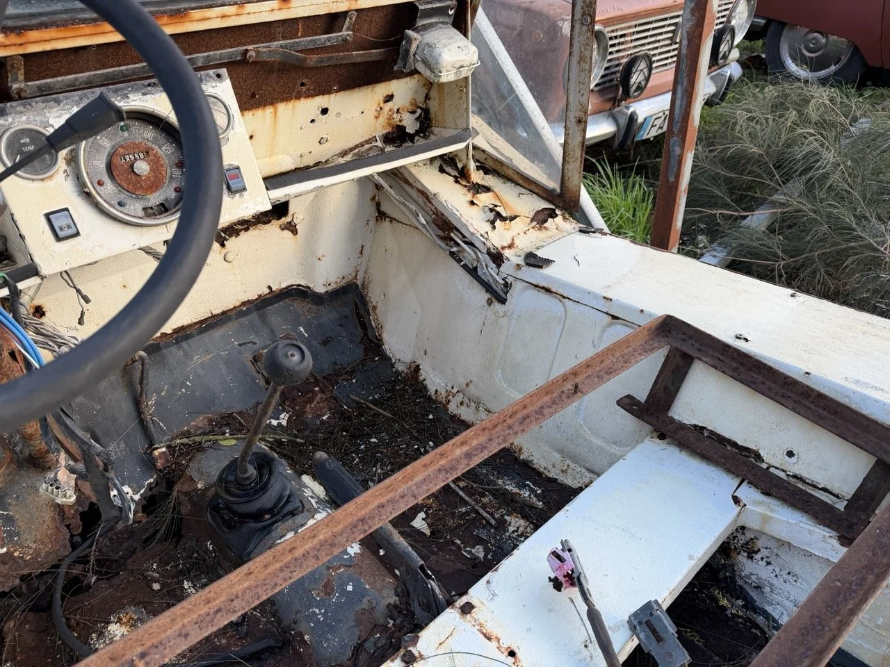 IMG_0900 – grande.jpeg