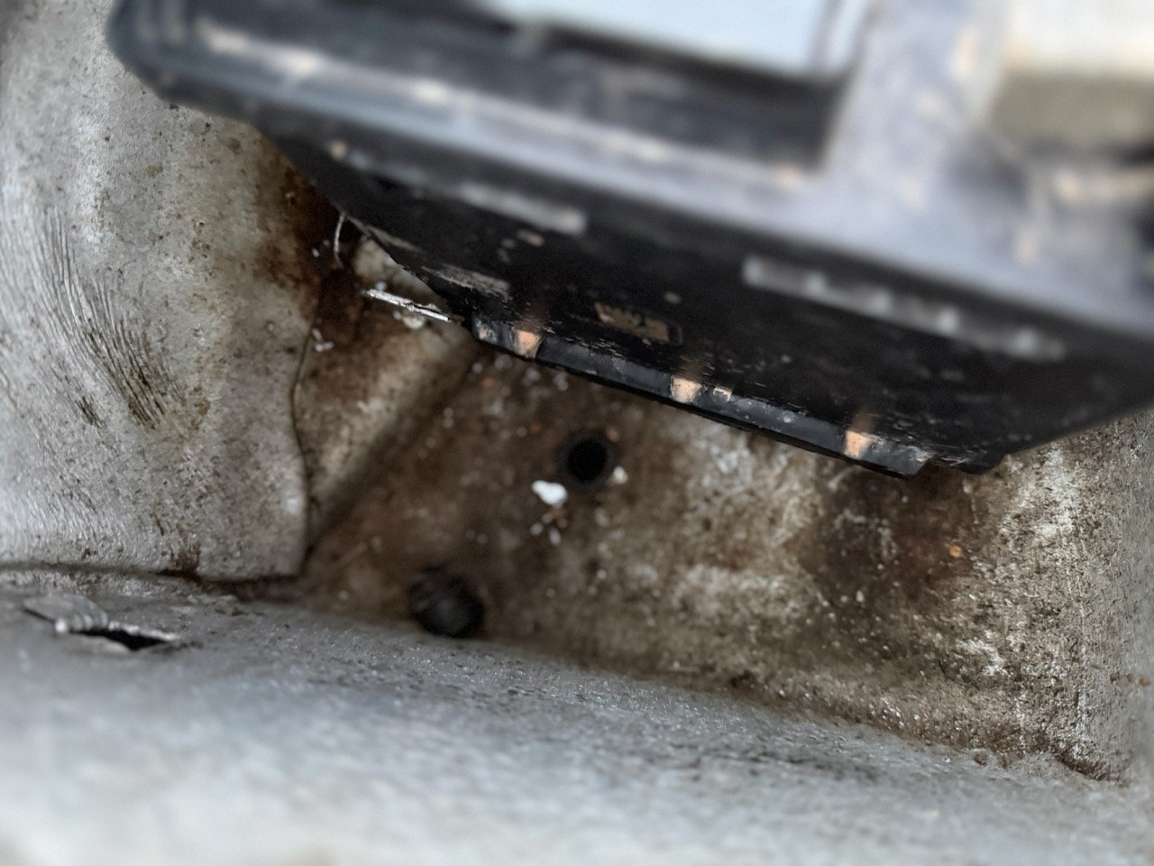 IMG_4742 3 – grande.jpeg