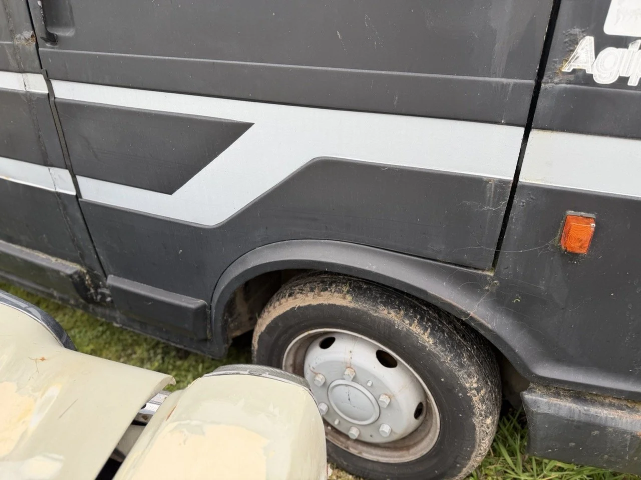 IMG_1303 – grande.jpeg